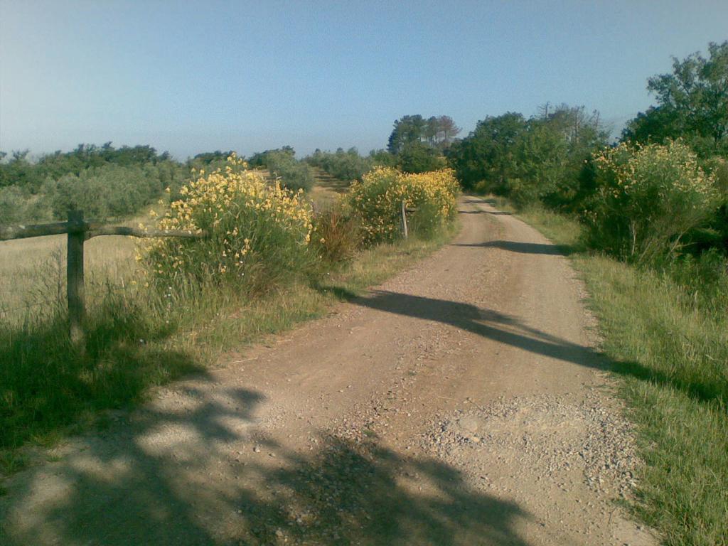 Podere Campovecchio Rapale Екстер'єр фото